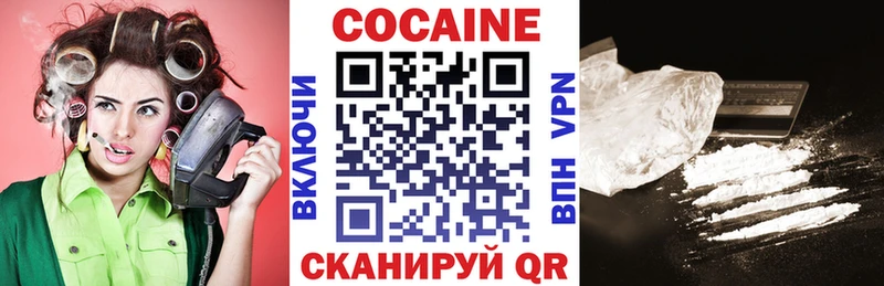 наркота  mega маркетплейс  Cocaine FishScale  Кадников 